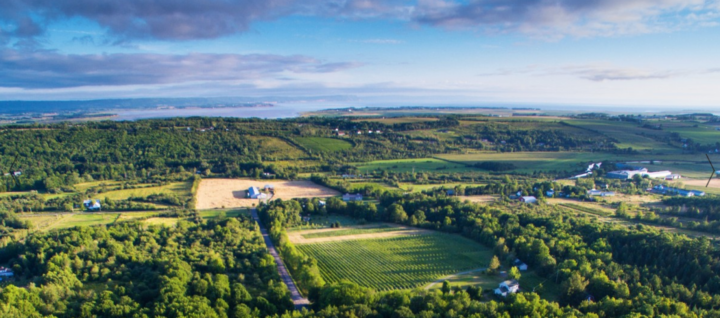 Canada: L’Acadie Vineyards – First Biocyclic Vegan Winery in North America