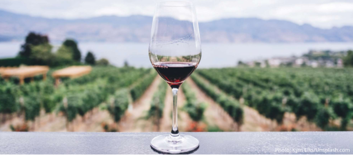 Vegan Wine from Soil to Glass – ASI Magazine (Association de la Sommellerie Internationale) May 2022