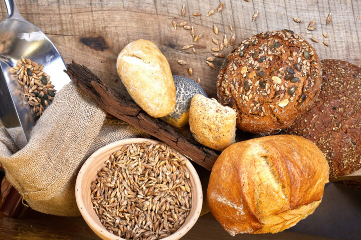 600-Year-Old Traditional German Farm Becomes Biocyclic and Vegan ­− Vegconomist September 2022