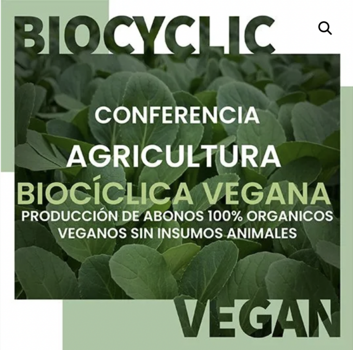 The first lecture on Biocyclic Vegan Agriculture in South America ­− ­organised by our partner Finca Villa Paz in Colombia ­− 16 November 2022