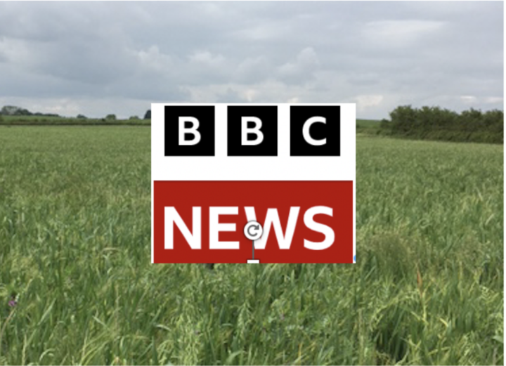 Dorset dairy farmer transforms business to be animal-free − BBC News 16 February 2023